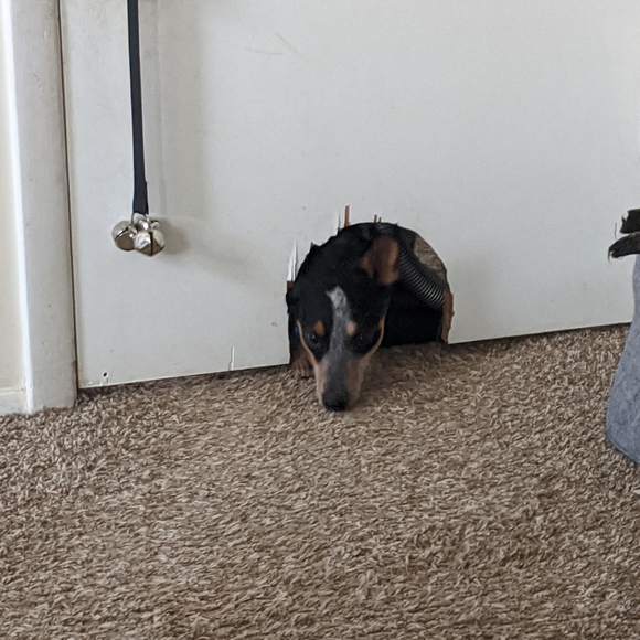 Reasonable offers always welcome 😄 - Picture 6 of 6